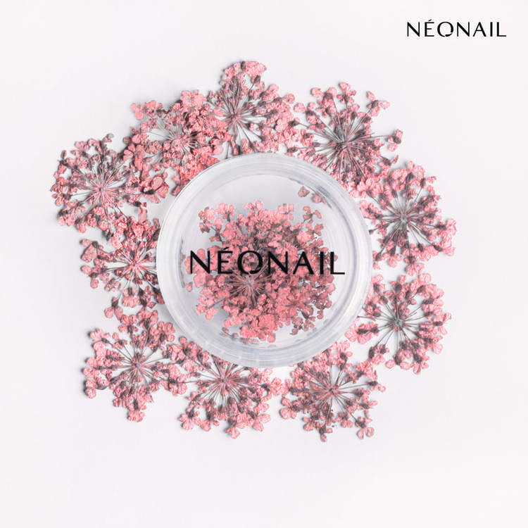 Delicate dried pink flowers arranged around a clear container, perfect for enhancing nail designs with gel polish.
