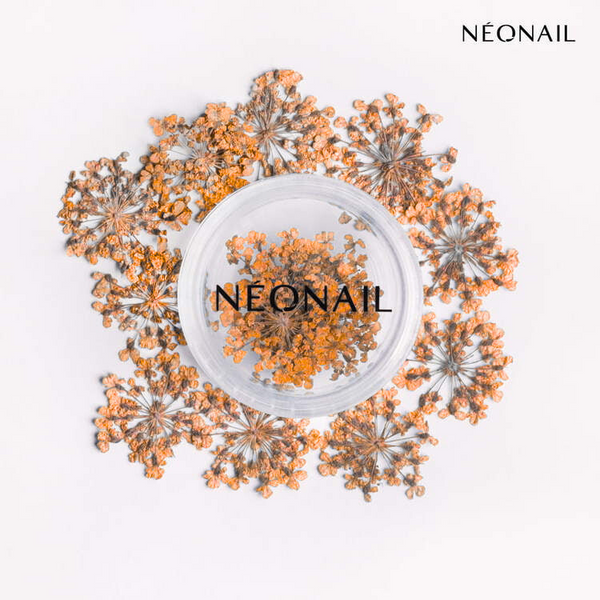 Orange dried flowers for nail art, perfect for enhancing gel polish designs with a feminine spring touch.