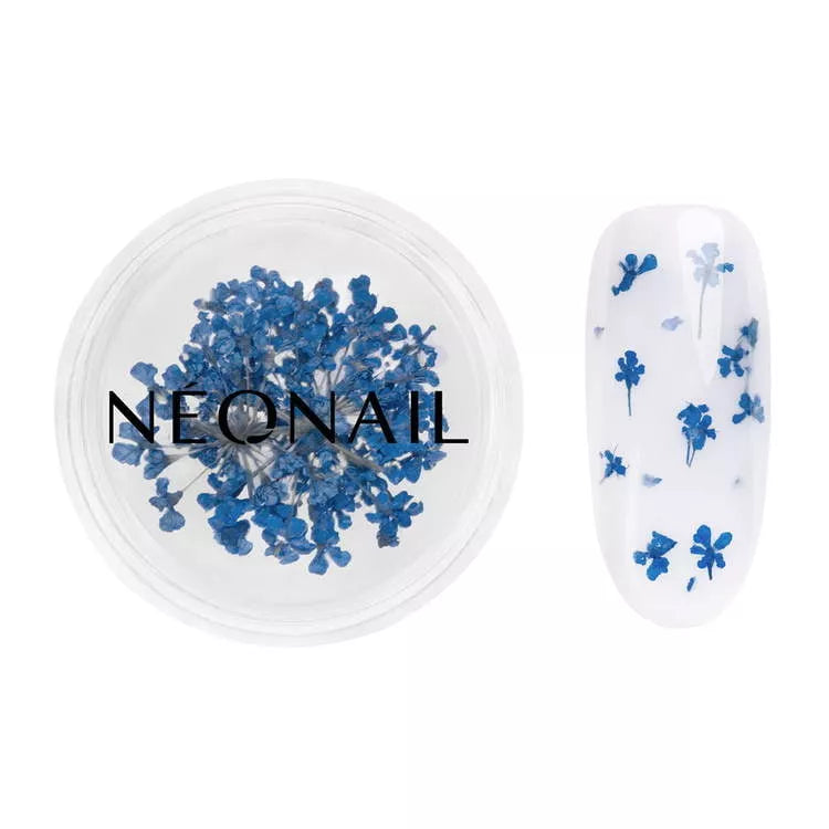 Dark blue dried flowers for unique nail art, perfect for UV gel and gel polish manicures.