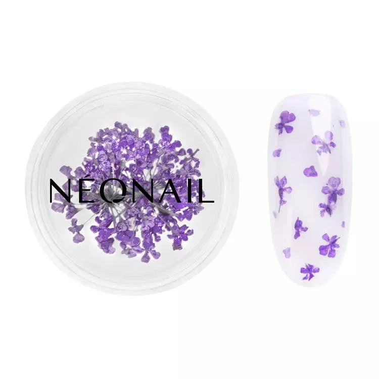Violet dried flower nail adornment next to a gel nail with purple flowers, perfect for UV gel polish manicures.
