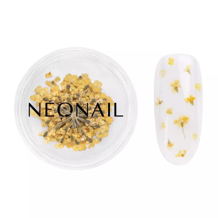 Dried yellow flowers for nail art, ideal for gel manicures and home nail kits.