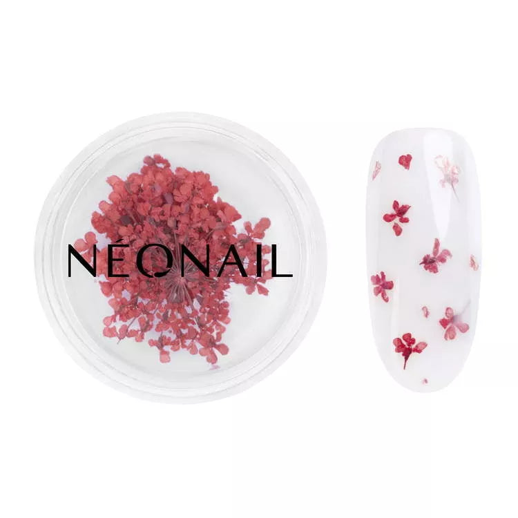 Red dried flowers for nail decoration with NEONAIL logo, perfect for uv gel polish and home nail kits.