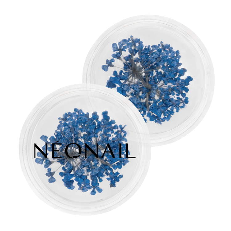 Navy dried flowers in clear containers for nail art, perfect for UV gel polish and gel nail designs.