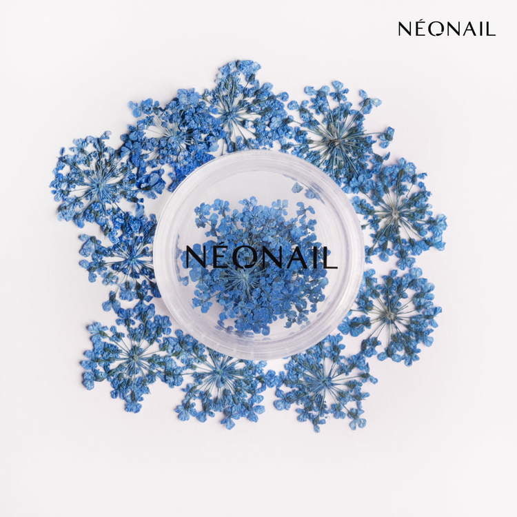 Navy dried flowers in a circular container, perfect for gel nail art and nail care products.