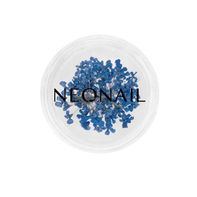 NeoNail - Flowers Decoration Navy 04