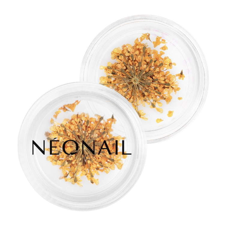 orange dried flowers for nails