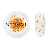 Ozdoba Kwiaty Orange Dried Flowers for Nails