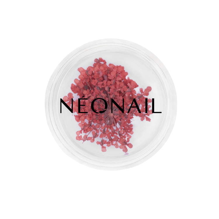 Neonail - Dried Flower Decorations 08 - Red