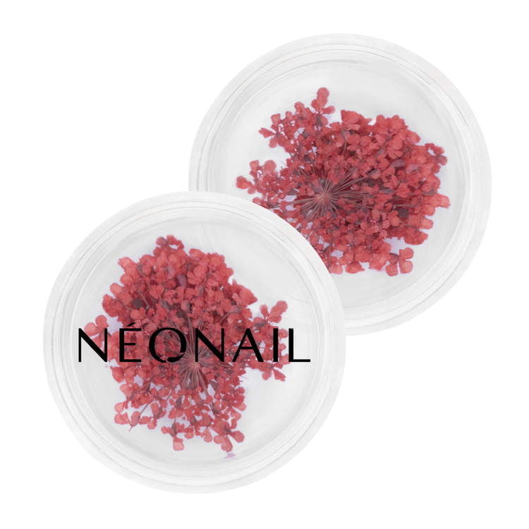 Dried red flowers for nail decoration in clear containers, perfect for adding style to gel polish and UV gel nails.