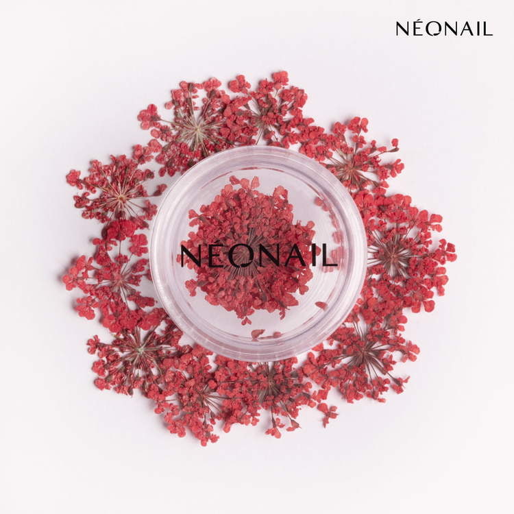 Red dried flowers in a clear container for gorgeous UV gel nail polish decoration.