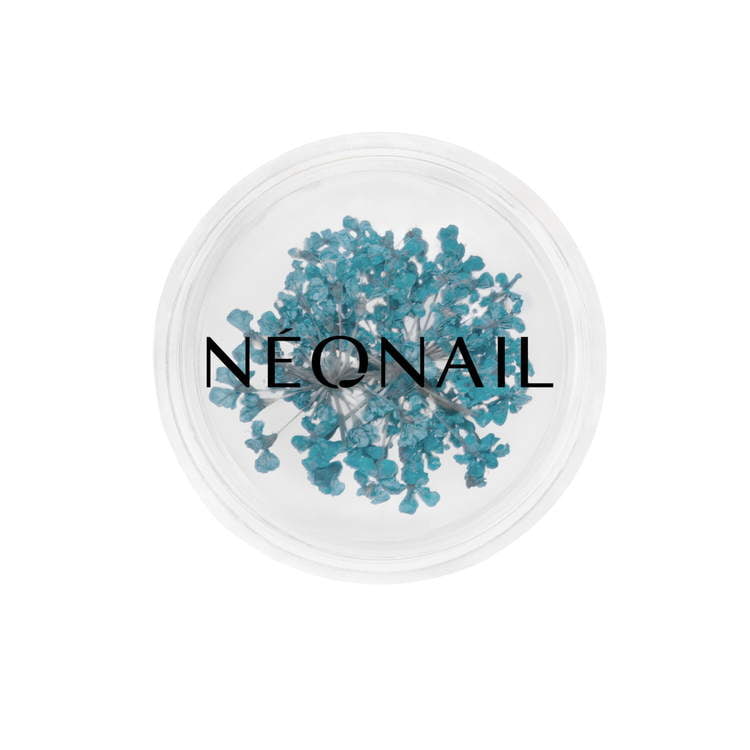 Turquoise dried flowers for nail art in a round container, perfect for creating stunning gel nails and manicures.