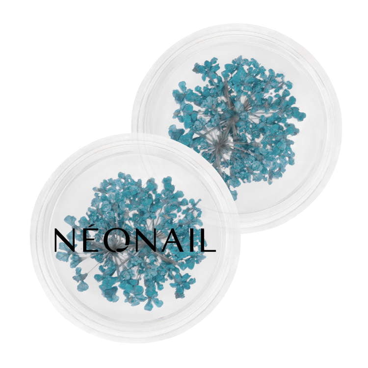 Turquoise dried flowers for nail art, ideal for gel polish and home nail kits by NEQNAIL.