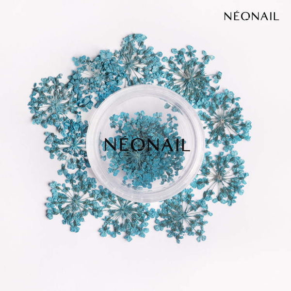 Turquoise dried flowers for nail art, perfect for gel polish and DIY manicures at home.