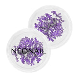 Dried violet flowers for nail adornment in clear containers, perfect for UV gel nail polish or home nail kit.