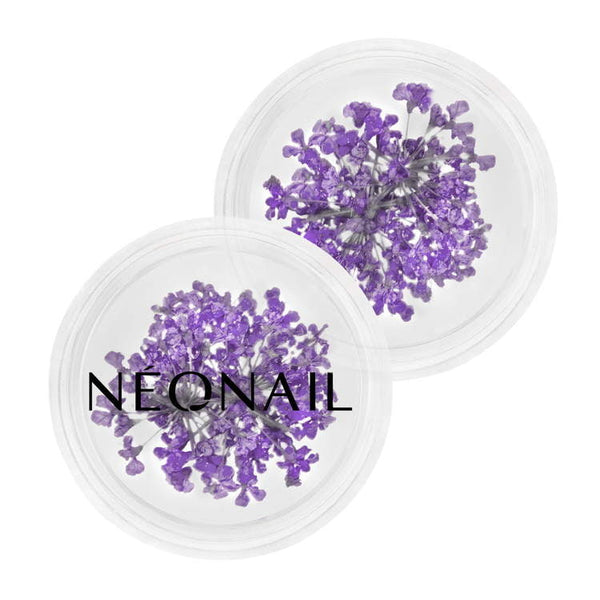 Neonail - Flowers decoration - Violet - 06