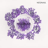 Violet dried flowers for UV gel nail polish, perfect for floral nail art and stylish manicures.