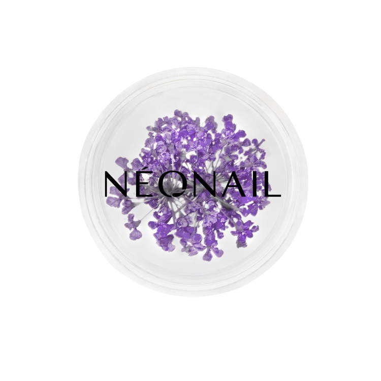 Neonail - Flowers decoration - Violet - 06