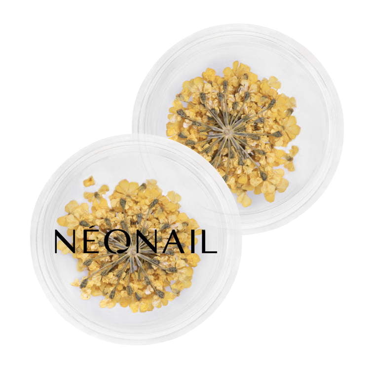 Dried yellow flowers for nail art, perfect for enhancing gel and hybrid manicures. Ideal for unique nail designs.