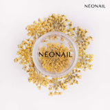 Dried yellow flowers in a container for trendy nail decorations with UV gel polish.
