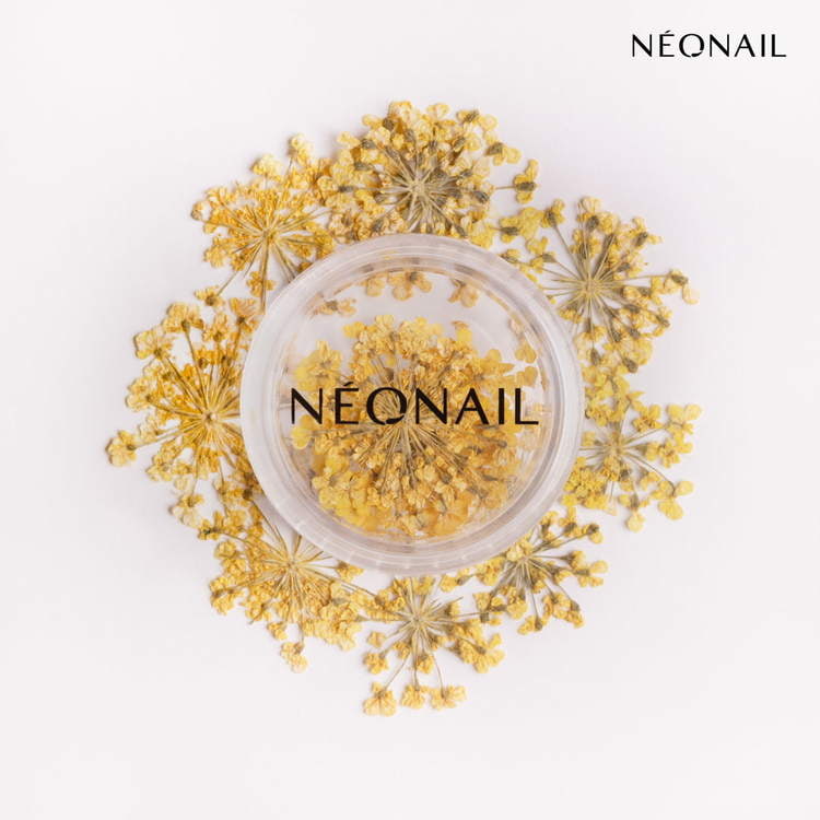 Dried yellow flowers in a container for trendy nail decorations with UV gel polish.